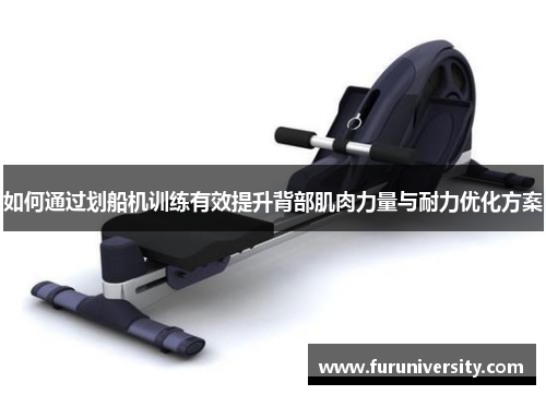 如何通过划船机训练有效提升背部肌肉力量与耐力优化方案