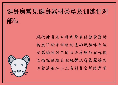 健身房常见健身器材类型及训练针对部位